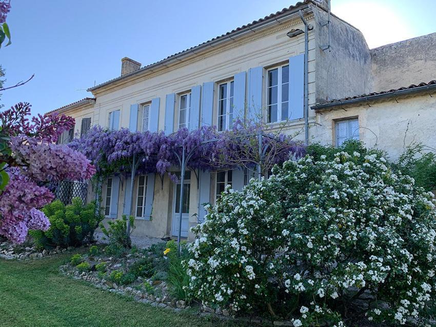 Maison Jeroboam Saint-Estèphe Habitación foto